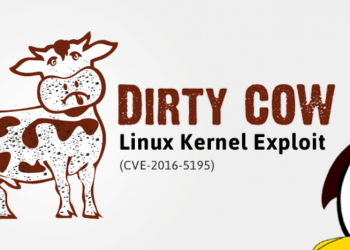 باگ جدیدی در سامانه های لینوکسی یافت شد: Dirty Cow