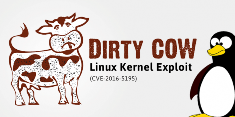 باگ جدیدی در سامانه های لینوکسی یافت شد: Dirty Cow